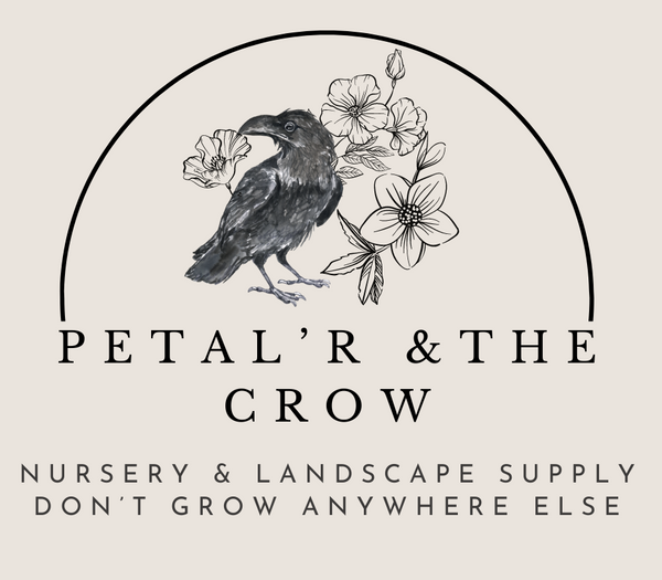 Petal’r & the Crow